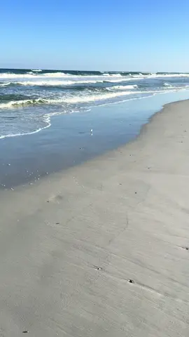 This bird running from the waves was my entertainment at the beach lol