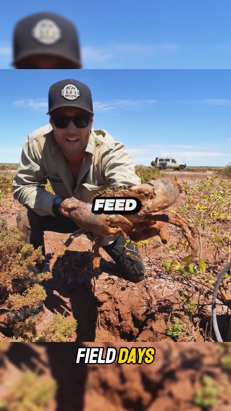 Monster CRAB - Catch and Cook P2 #crab #catchandcook #camping #survival #Outdoors #fielddays #fyp 