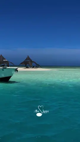 vamos pa los ROQUES #lyrics #letras #dannyocean #kapo 