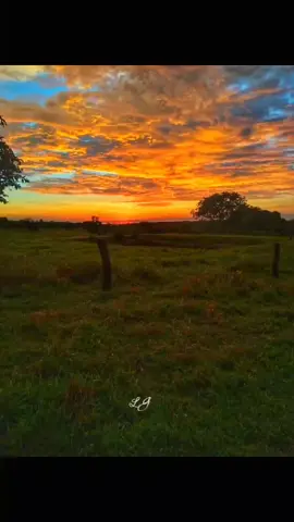 el carmín de las auroras #folklore #fyp💞 #losmanserossantiagueños #tiktok #bailes #campo #CapCut 