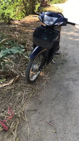Hóng tết nhỉ🥲🤣#wave20358 #wave25laichau 