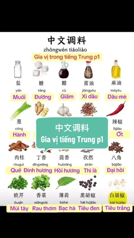 中文调料 Gia vị tiếng Trung p1#TikTokAwardsVN #汉语不太难 #hoctiengtrungonline #每天一个故事 #hoctiengtrungquahinhanh #每天一个故事 #hoctiengtrungquahinhanh #xiaohongshu #yeutiengtrung20 #汉语学习 #中国 #giaotieptiengtrung 