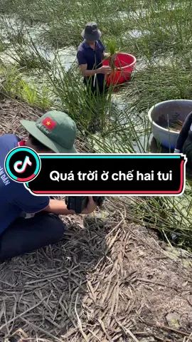 Anh hai chế hai tui sắp dc lên tivi rồi#cuocsongthuongngay #nangluongtichcuc💪🍀 #xuhuong2024 #xuhuong2024 #xuhuong2024 @Phan võ 