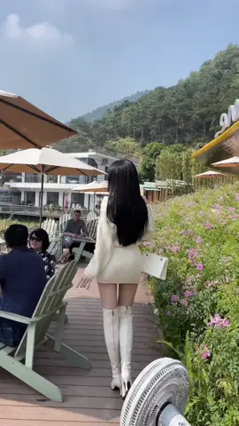 View này ok …❤️ #nhachaymoingay #OOTD #outfit #fashion #vairal #typ 