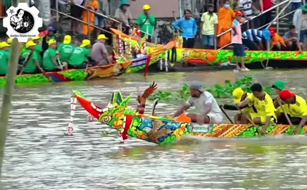 Trà Quýt Cũ 🦅 xã Thuận Hoà quê tôi ❤️#đuaghengosoctrang #oocomboksoctrang #songmaspero #chuatraquytcu #xuhuong2024 