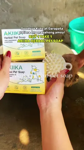 Solusyon sa problema natin ang akiika herbal pet soap! ❤️ #akiika #akiikaherbalpetsoap #herbalpetsoap #petsoap #doglover #petlover #fyp 
