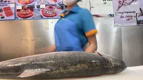 @ចរណៃ-Choronai.Store ចរណៃ សាម៉ុងស្រស់🥰❤️🍺