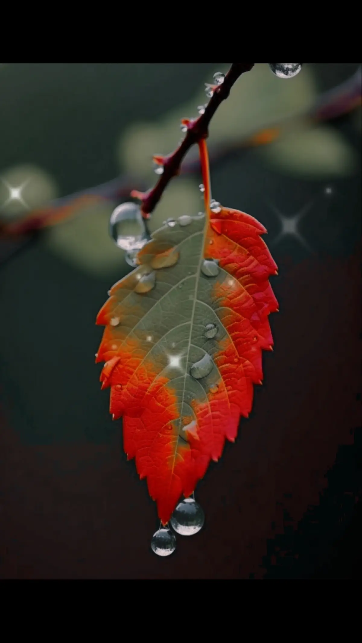 #Ennum ninne poojikkam#latestmalayalamsongs #filmreels #new song recomdation #malyalamfilimsong #newmalayalam #fyp #newtrend 