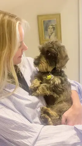 #dog #cutedog #dogsoftiktok #doggo #baby 