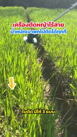 เครื่องตัดหญ้าไร้สาย ชาร์ตแบต##รีวิว##ของดีบอกต่อ##tiktokshopครีเอเตอร์##คุณอุ๋ยรีวิวของดี##เครื่องตัดหญ้า##เครื่องตัดหญ้าไร้สาย##เครื่องตัดหญ้าแบตเตอรี่##เครื่องแต่งกิ่งไม้ 