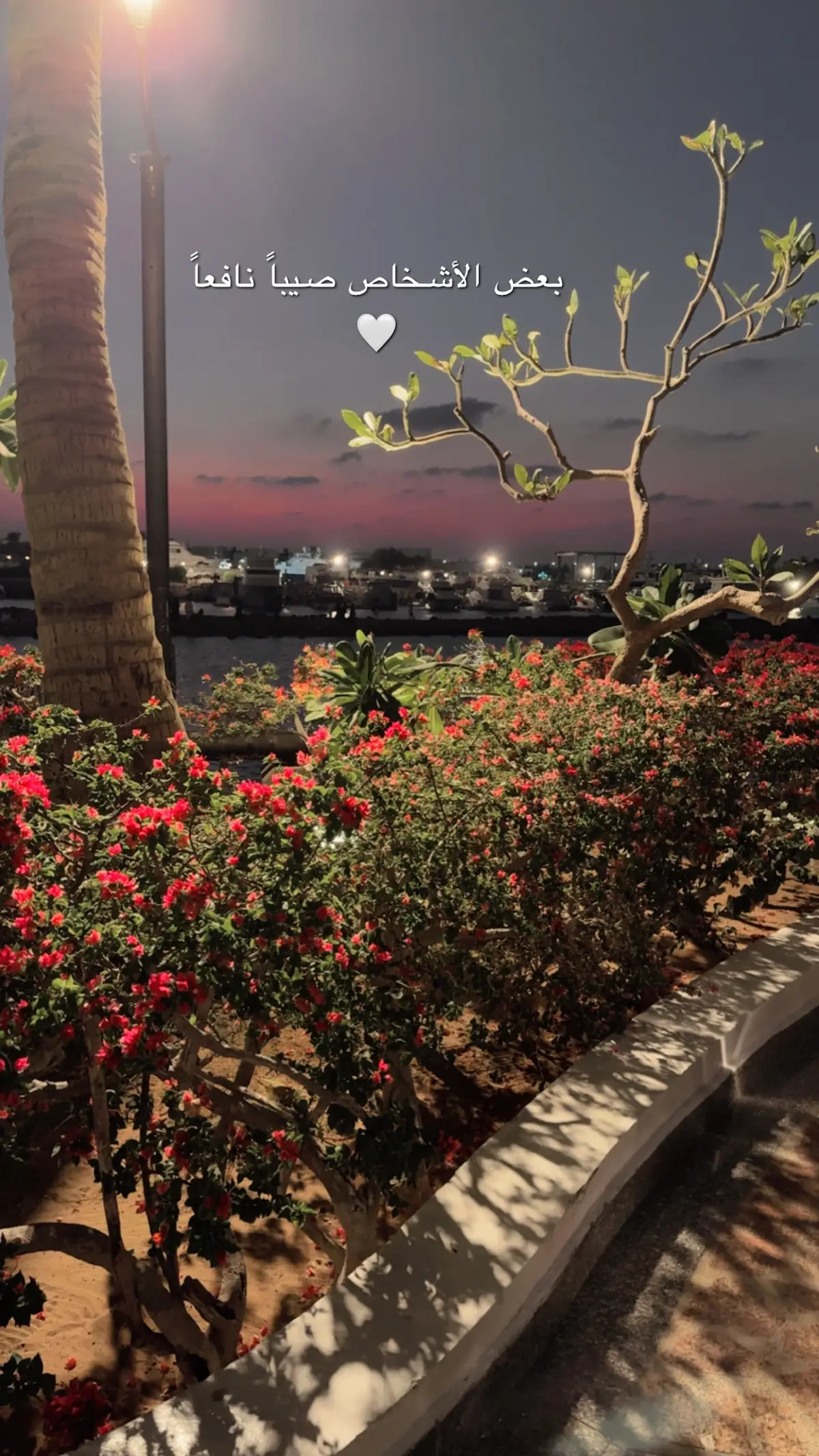 #حب بلاحدود 