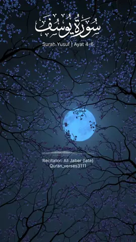 humble recitation by Qari Ali Jaber | Surah Yusuf | Ayat 4-6 #سورة_يوسف #علي_جابر #تلاوة_خاشعة #recitation #quranrecitation #beautifulquranrecitation #quran #islamic_video #islamic_tiktok #quran_verses3111 