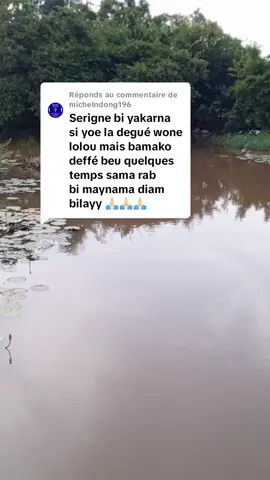 Réponse à @michelndong196 