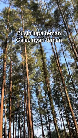 Waduhh.#fyp #platktiniboss #platktmeresahkan #platkt #scoopyplatkt 