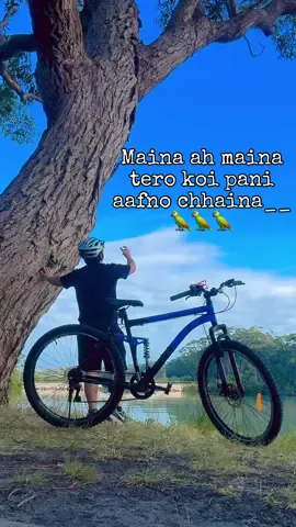 Maina ah maina tero koi pani aafno chhaina___🦜#devenentertainment #alwaysbepositive #fypシ #unfrezzmyaccount #fypシforyoupage #tiktok  @DEVEN TAMANG ✅  @DEVEN TAMANG ✅  @DEVEN TAMANG ✅ 