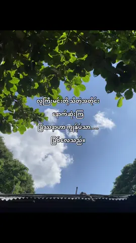 #crdစာသား #fypppppppppppppp #highlight #followers #ဒီတစ်ပုဒ်တော့fypပေါ်ရောက်ချင်တယ် #foryou 