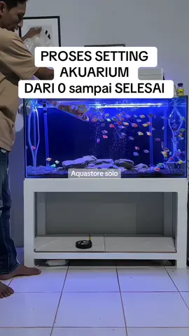 Proses 3 hari jadi vidio 5 menit 🤭… -meja 100x40x tinggi 55cm   (Rangka hollow finishing cat putih) -akuarium 100x40x tinggi 50cm  (Kaca keliling 8mm alas 10cm). Filterasi  -talang tingkat pvc ukur 98cm talang mekanis 40cm -media mekanis    kapas 8d 30x10 2 pcs -media biologis   Batu apung 600gr   Momogi 20pcs   Bioring super 500gr -lampu UV 9W -mesin KANDILA MARLIN 103 -pipa bening 2m -keni L 2pcs -keni T 1pcs -dop selang 6pcs -selang aerator 4meter Dekorasi  -background hitam dop -airstone 50cm -aerator silent 2lubang -pasir natural sand    (Pertama pasir muara di hari kedua diganti natural sand)10kg -batu bobing stone 11kg Lampu -kandila t4 day and night n100 -kandila jepit 3 mode Yang mau tutorial nya.  Bisa tulis dikolom komentar #fy #aquarium #ikanhias #tutorial 