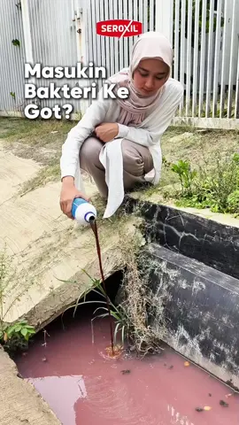 Gimana udah paham kan?  #penguraiseptictank #penguraitinja #septicsol #seroxil #toiletmampet 