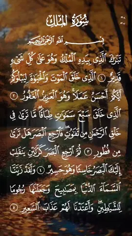 جزء تبارك (29) مكتوب كامل بصوت خاشع ومؤثر  #سعد_الغامدي #جزء_تبارك #القرآن_الكريم_ترند #قران #نفع_الله_بكم_الاسلام #المؤمنون_بالله_وحده #حافظواعلى_الصلاة #لاتكفروا_بالله #صلوا_على_خير_البشر_تغنموا 