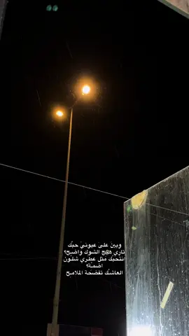 ثاري هيج الشوك فاضححح . #ديوانيه #video #fyp #foryoupagethis #viralvideo #viralvide #foryoupage #foryoupagethispls #foryou #foryoupagee #viral 