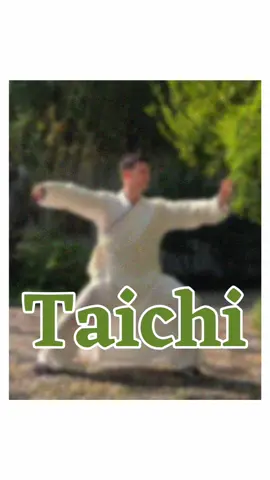 ☯️❤️‍🔥Start learning Tai Chi and write your own epic tale. #taichi #kungfu #martialarts #chineseculture #flow #exercise #legend #balance #wellness #moveeveryday #fyp #fypシ 