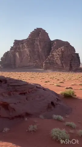 #حقل #وادي_رم تتن