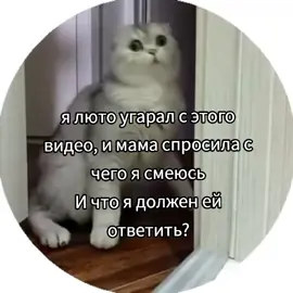 да я смеюсь с шуток про пердеж, а кто нет? #завертин #fyp 