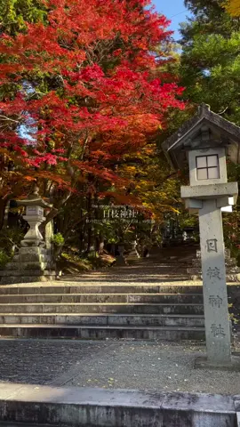 📍日枝神社 高山 / The shrine that inspired 
