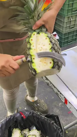 Unique High-Sugar White Pineapple Cutting Skills 📍24hr Fruit & Veg Store https://maps.app.goo.gl/V3G78QFS3WiTrjiw6 No. 201, Sanmin St, Sanmin District, Kaohsiung City, Taiwan 807 ⏰ 6:30 am open #pineapple 
