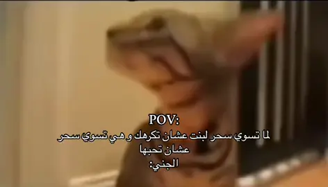 #السحر #الجني #🇸🇦 #شعب_الصيني_ماله_حل😂😂 #مالي_خلق_احط_هاشتاقات #foryou #fyp #😂😂😂 