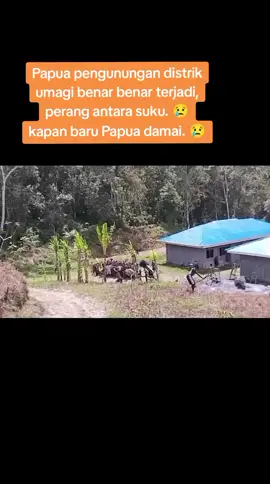 #fyp sedih Papua semama Papua saja seperti ini, kapan Papua damai 😢🙏