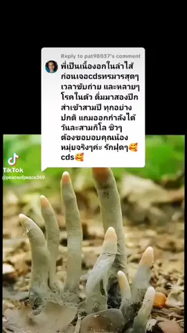 #foryou #foryoupage #foryoufeed 