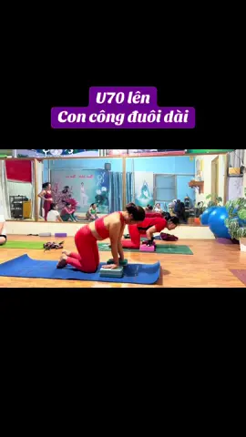 U70 thế này có được gọi là đỉnh của Chóp không ạ. Động lực của các bạn trẻ là đây nhé. Phương vẫn nói: Yoga chưa bao giờ là quá muộn đâu bạn ạ.  #Yogaonline #yogatuachua #yogathuphuong #yogapose #yogadoi #thuphuongyoga #xuhuong #CapCut #yoga 