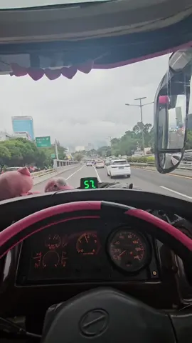 Original #wijayatrans #videobus #vibesperjalanannaikbus #swnyetirbus 