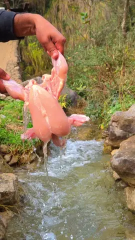 Underground Pit-Cooked Whole Chicken 🏞️🐔 #asmr #cooking #nature #food #travel #peace #relaxing #reelschallenge #reels #naturelovers #wild #Outdoors #vibes #Love #travelblogger #Foodie 