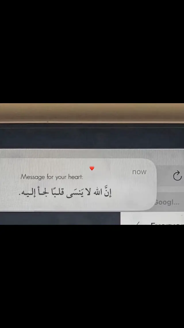 يارب🤎 #fypシ #ذكر #qoran #الوتر #explore #viral #الصلاة #fyp #❤️ #قران #viralvideos 
