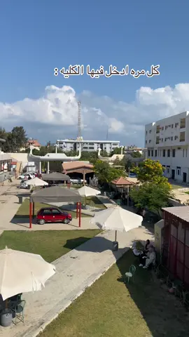 #raselbar #himc #explore #fyp #جامعه #كليه #damietta #