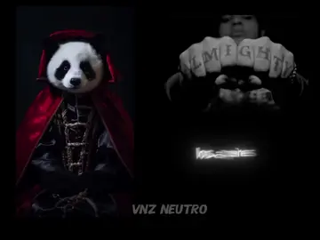 panda 🐼 remix 🔥 #almighty #pandaremix #musica #trap #fyp 