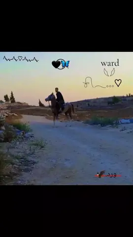 #ورد_ملك الاصايل