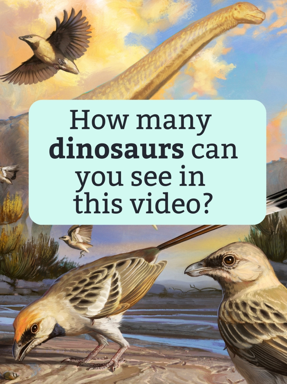 🦖 New discovery! A ‘one of a kind’ fossil that could transform our understanding of how the unique brains and intelligence of modern birds evolved. #Cambridge #CambridgeResearch #CambridgeUni #CambridgeUniversity #Dinosaurs #Evolution #BirdEvolution 