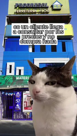 🥺 Caserito, lleve un clavo aunque sea por favaaaar 😭 ✅ Tenemos los mejores precios para la #construcción de tu casa o #proyecto  ✅ Te ofrecemos servicio de #mixer  ✅Cotiza AHORA!!!!! . . . . . . #ConstrucciónCalidad #mixer #comstruction #ferreteriaflor #ventanilla #limaperu🇵🇪 #callao #preciosbajos #progresoltusocioenconstruccion 