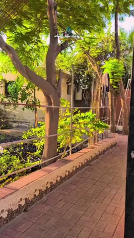 بحبك يا رسول الله ياجد الساده والامراء  بحبك يارسول الله وال بيتك الامراء  #رسول_الله_صلى_الله_عليه_وسلم #نبض_المشاعر👍 #تصميم_فيديوهات #الشعب_الصيني_ماله_حل #إكسبلور @نبض المشاعر ⭕🍏 @نبض المشاعر ⭕🍏 @نبض المشاعر ⭕🍏   