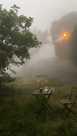 لا قبلك ولا بعدك احد 🌷 #fyp #ترند_تيك_توك #اكسبلور #بلسمر #بلسمر_عسير 