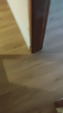 piso vinílico biancogles cor Ferrara 