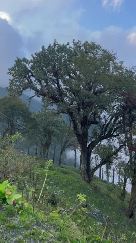 You are enough ❤️💐 #fyp #nature #foryoupage #naturelover #peaceful #rasuwa #view #magar #❤️ 