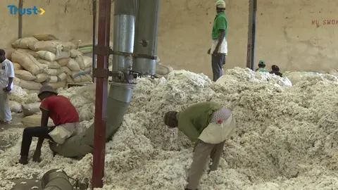 The Last Cotton Factory in Funtua #trusttvnews
