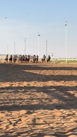 مكسب فراس الثاني على التوالي 😍😍😍#مربط_الفلوة #اكسبلوررر #بريده 