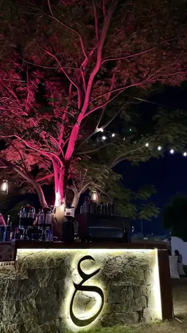 #CapCut 