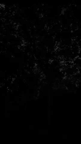 تدخّل الوالدين في حياة أبنائهم الزّوجية...!؟ أستغفر الله العظيم وأتوب إليه... اللّهمّ صلّ وسلّم على حبيبنا المُصطفى...