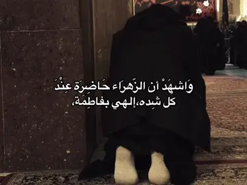 إللهي بفاطِمة😞💙💙، #فاطمه_الزهراء_عليها_السلام #يا_ابا_عبدالله #يا_ابا_الفضل_العباس #قصائد_حسينيه #محمد_باقر_الخاقاني #yyyyyyyyyyyyyyyyyyyyyyyyyyyyyy #مالي_خلق_احط_هاشتاقات 